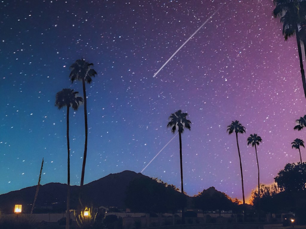 SWAN of the Week, No. 120