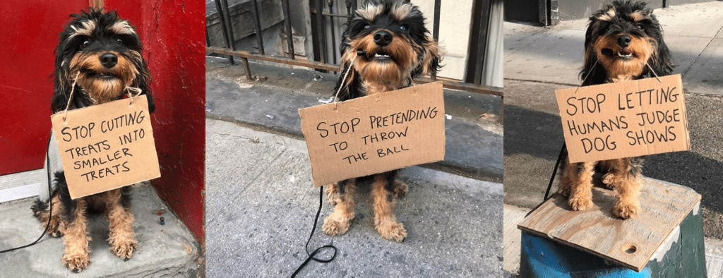 Social Pulse, Week of&nbsp;12-30